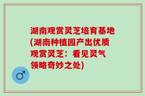 湖南观赏灵芝培育基地(湖南种植园产出优质观赏灵芝：看见灵气 领略奇妙之处)