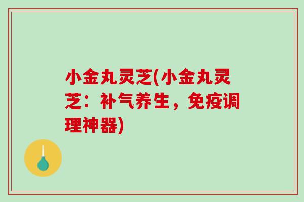 小金丸灵芝(小金丸灵芝：补气养生，免疫调理神器)