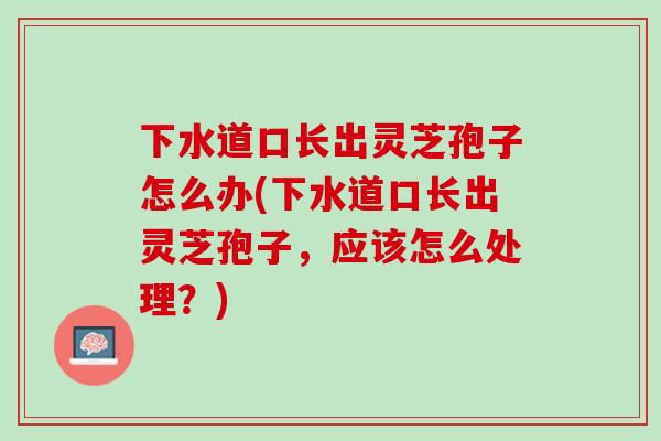 下水道口长出灵芝孢子怎么办(下水道口长出灵芝孢子,应该怎么处理?) 下水道口长出灵芝孢子怎么办(下水道口长出灵芝孢子,应该怎么处理?)