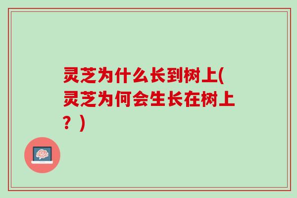 灵芝为什么长到树上(灵芝为何会生长在树上？)