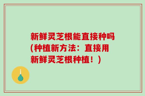 新鲜灵芝根能直接种吗(种植新方法：直接用新鲜灵芝根种植！)