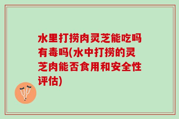 水里打捞肉灵芝能吃吗有毒吗(水中打捞的灵芝肉能否食用和安全性评估) 水里打捞肉灵芝能吃吗有毒吗(水中打捞的灵芝肉能否食用和安全性评估)