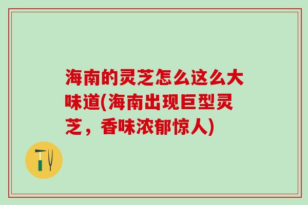 海南的灵芝怎么这么大味道(海南出现巨型灵芝,香味浓郁惊人) 海南的灵芝怎么这么大味道(海南出现巨型灵芝,香味浓郁惊人)
