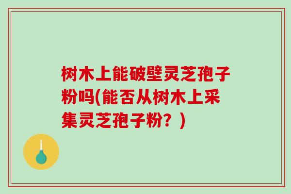 树木上能破壁灵芝孢子粉吗(能否从树木上采集灵芝孢子粉？)