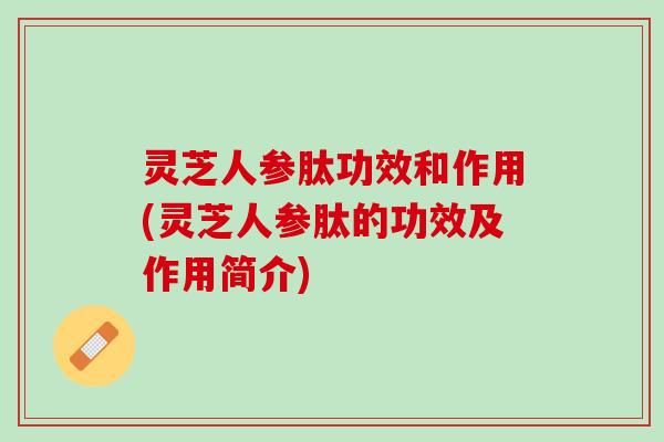灵芝人参肽功效和作用(灵芝人参肽的功效及作用简介)