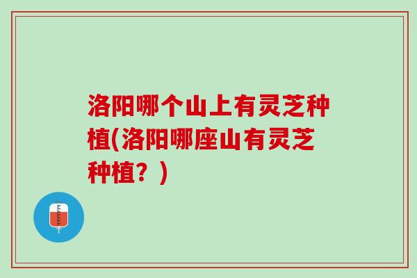 洛阳哪个山上有灵芝种植(洛阳哪座山有灵芝种植？)