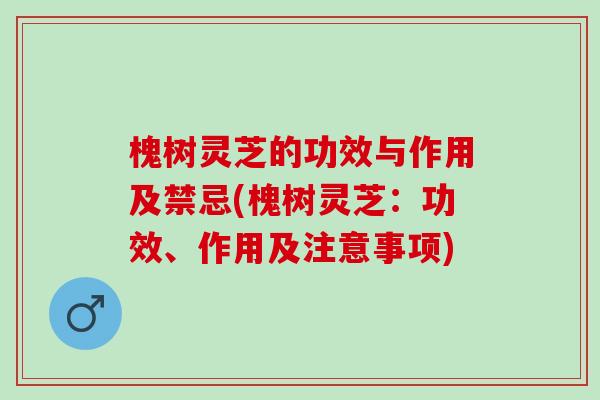 槐树灵芝的功效与作用及禁忌(槐树灵芝：功效、作用及注意事项)