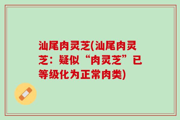 汕尾肉灵芝(汕尾肉灵芝:疑似“肉灵芝”已等级化为正常肉类) 汕尾肉灵芝(汕尾肉灵芝:疑似“肉灵芝”已等级化为正常肉类)