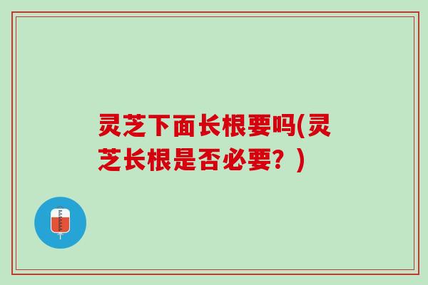 灵芝下面长根要吗(灵芝长根是否必要？)