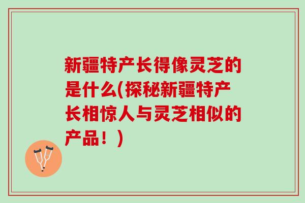 新疆特产长得像灵芝的是什么(探秘新疆特产长相惊人与灵芝相似的产品！)