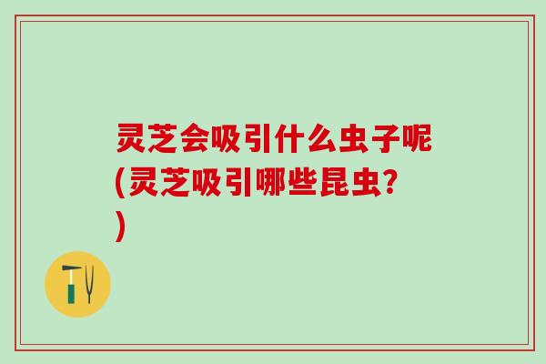 灵芝会吸引什么虫子呢(灵芝吸引哪些昆虫？)