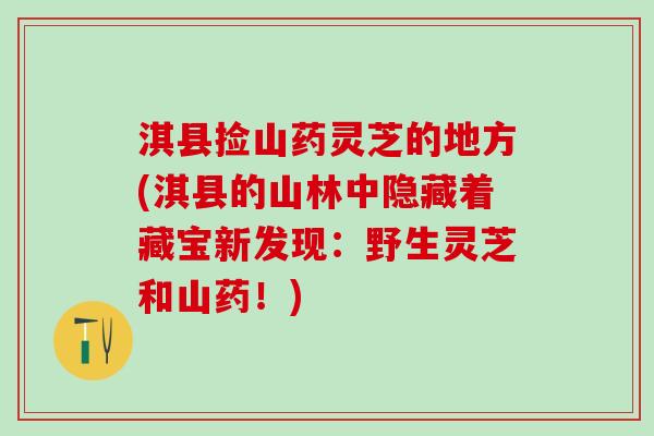 淇县捡山药灵芝的地方(淇县的山林中隐藏着藏宝新发现：野生灵芝和山药！)