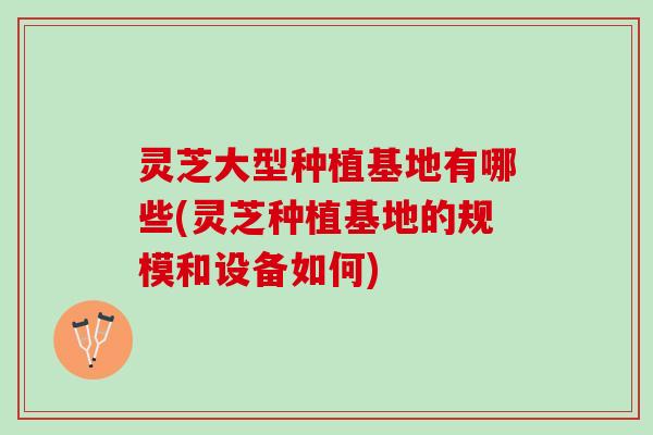 灵芝大型种植基地有哪些(灵芝种植基地的规模和设备如何)