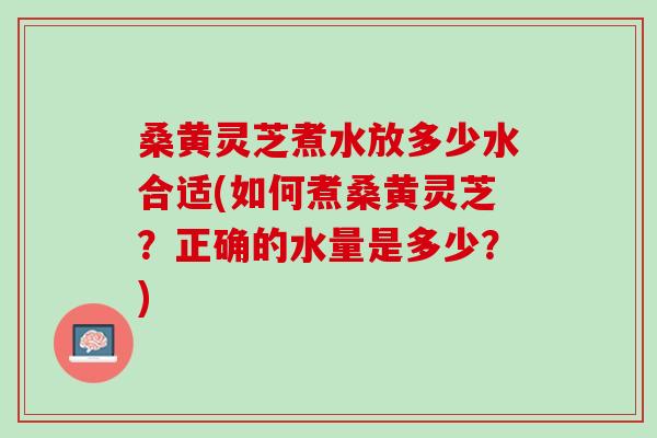 桑黄灵芝煮水放多少水合适(如何煮桑黄灵芝?正确的水量是多少?) 桑黄灵芝煮水放多少水合适(如何煮桑黄灵芝?正确的水量是多少?)