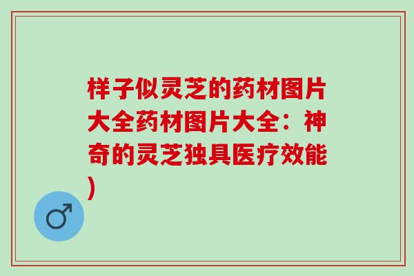 样子似灵芝的药材图片大全药材图片大全：神奇的灵芝独具医疗效能)