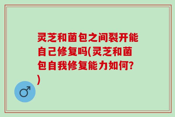 灵芝和菌包之间裂开能自己修复吗(灵芝和菌包自我修复能力如何？)