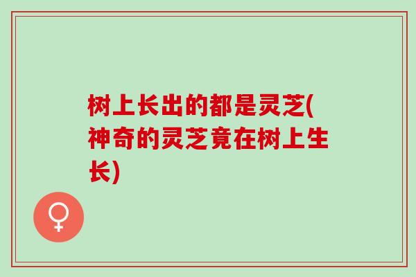 树上长出的都是灵芝(神奇的灵芝竟在树上生长)