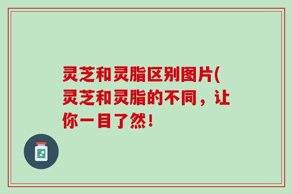 灵芝和灵脂区别图片(灵芝和灵脂的不同，让你一目了然！