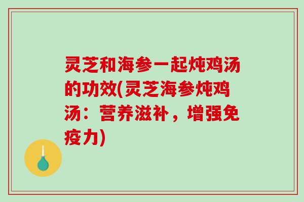 灵芝和海参一起炖鸡汤的功效(灵芝海参炖鸡汤:营养滋补,增强免疫力) 灵芝和海参一起炖鸡汤的功效(灵芝海参炖鸡汤:营养滋补,增强免疫力)