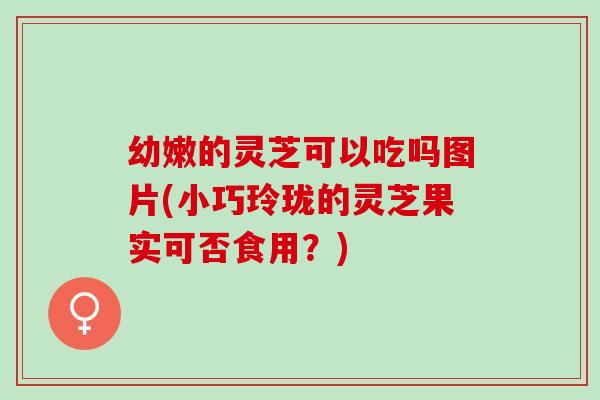 幼嫩的灵芝可以吃吗图片(小巧玲珑的灵芝果实可否食用?) 幼嫩的灵芝可以吃吗图片(小巧玲珑的灵芝果实可否食用?)
