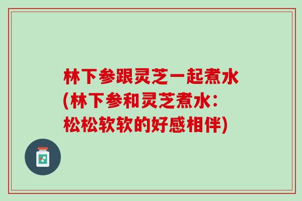 林下参跟灵芝一起煮水(林下参和灵芝煮水:松松软软的好感相伴) 林下参跟灵芝一起煮水(林下参和灵芝煮水:松松软软的好感相伴)
