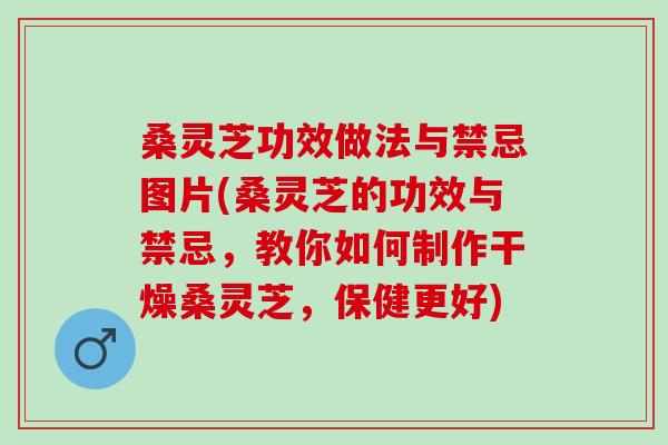 桑灵芝功效做法与禁忌图片(桑灵芝的功效与禁忌,教你如何制作干燥桑灵芝,保健更好) 桑灵芝功效做法与禁忌图片(桑灵芝的功效与禁忌,教你如何制作干燥桑灵芝,保健更好)