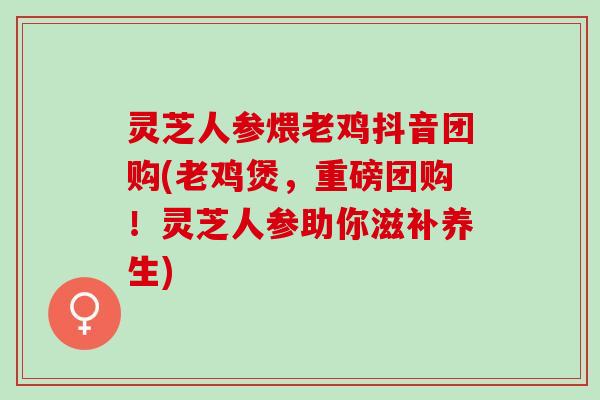 灵芝人参煨老鸡抖音团购(老鸡煲，重磅团购！灵芝人参助你滋补养生)