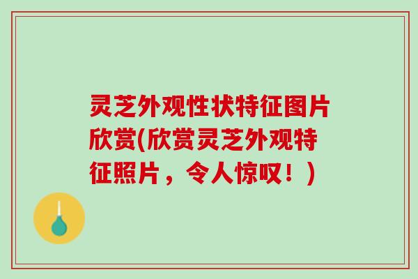灵芝外观性状特征图片欣赏(欣赏灵芝外观特征照片，令人惊叹！)