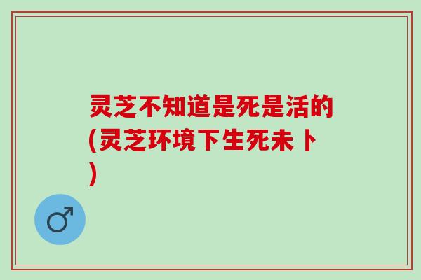灵芝不知道是死是活的(灵芝环境下生死未卜)