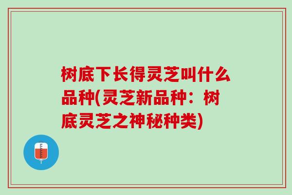 树底下长得灵芝叫什么品种(灵芝新品种：树底灵芝之神秘种类)