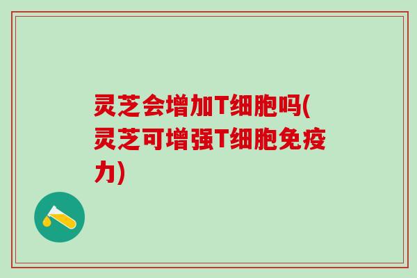 灵芝会增加T细胞吗(灵芝可增强T细胞免疫力)