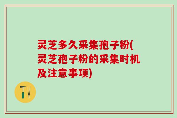 灵芝多久采集孢子粉(灵芝孢子粉的采集时机及注意事项)