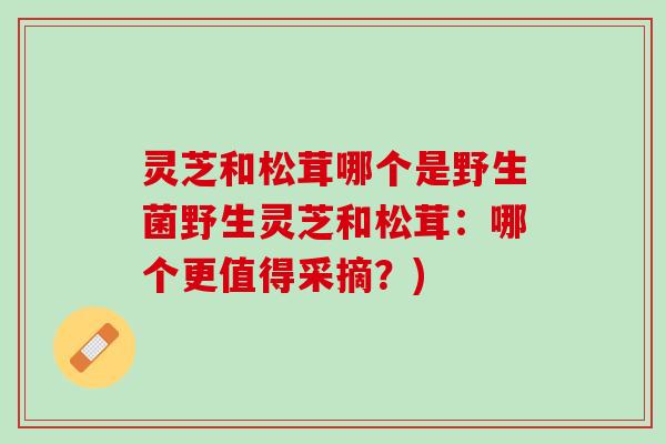 灵芝和松茸哪个是野生菌野生灵芝和松茸：哪个更值得采摘？)