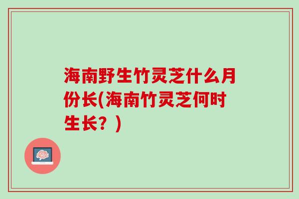 海南野生竹灵芝什么月份长(海南竹灵芝何时生长？)