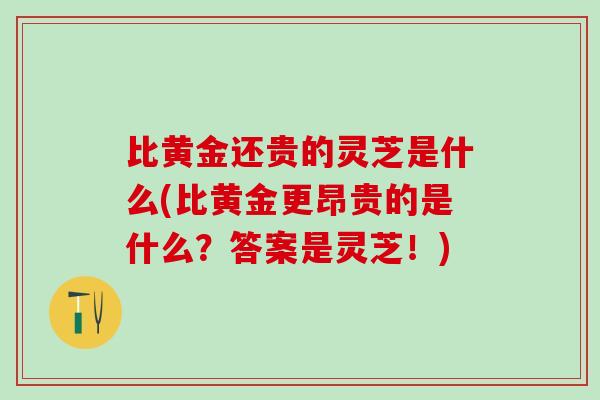 比黄金还贵的灵芝是什么(比黄金更昂贵的是什么？答案是灵芝！)