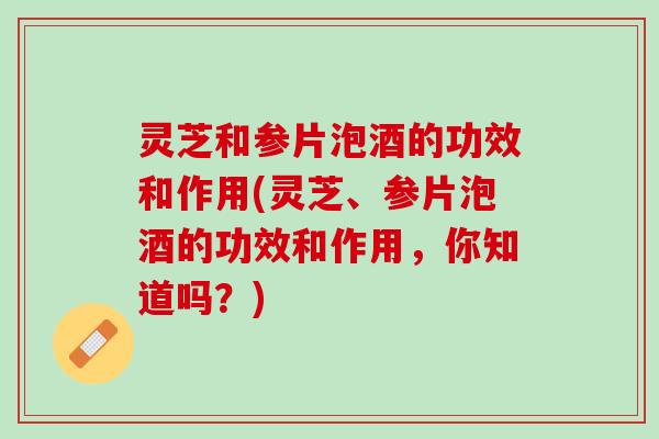 灵芝和参片泡酒的功效和作用(灵芝、参片泡酒的功效和作用，你知道吗？)