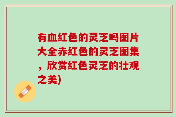 有血红色的灵芝吗图片大全赤红色的灵芝图集，欣赏红色灵芝的壮观之美)