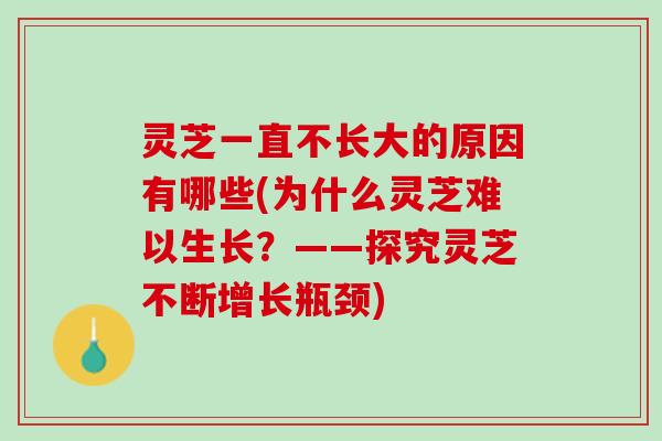 灵芝一直不长大的原因有哪些(为什么灵芝难以生长?——探究灵芝不断增长瓶颈) 灵芝一直不长大的原因有哪些(为什么灵芝难以生长?——探究灵芝不断增长瓶颈)