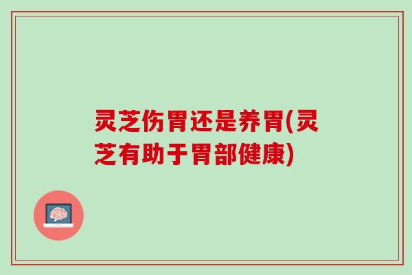 灵芝伤胃还是养胃(灵芝有助于胃部健康)