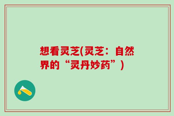 想看灵芝(灵芝：自然界的“灵丹妙药”)