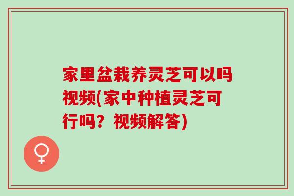 家里盆栽养灵芝可以吗视频(家中种植灵芝可行吗？视频解答)