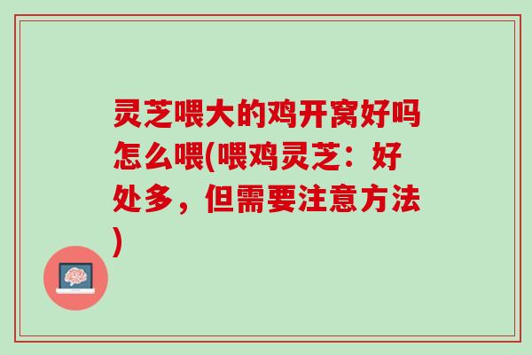 灵芝喂大的鸡开窝好吗怎么喂(喂鸡灵芝:好处多,但需要注意方法) 灵芝喂大的鸡开窝好吗怎么喂(喂鸡灵芝:好处多,但需要注意方法)