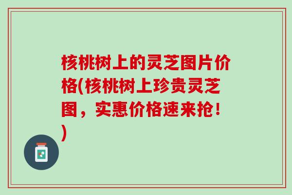 核桃树上的灵芝图片价格(核桃树上珍贵灵芝图，实惠价格速来抢！)