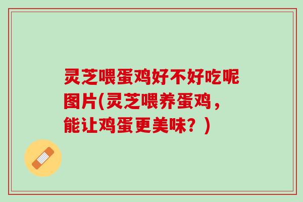 灵芝喂蛋鸡好不好吃呢图片(灵芝喂养蛋鸡，能让鸡蛋更美味？)