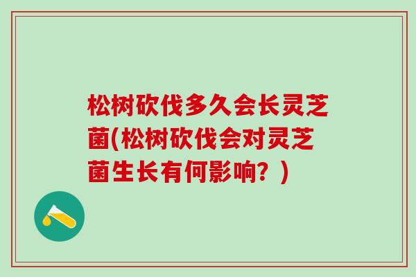 松树砍伐多久会长灵芝菌(松树砍伐会对灵芝菌生长有何影响？)