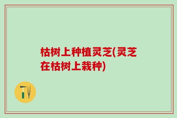 枯树上种植灵芝(灵芝在枯树上栽种)