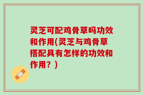 灵芝可配鸡骨草吗功效和作用(灵芝与鸡骨草搭配具有怎样的功效和作用？)