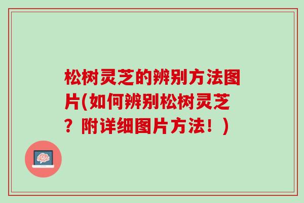 松树灵芝的辨别方法图片(如何辨别松树灵芝？附详细图片方法！)