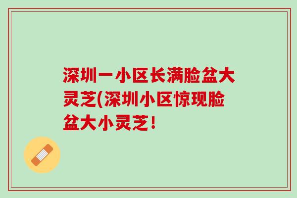深圳一小区长满脸盆大灵芝(深圳小区惊现脸盆大小灵芝！