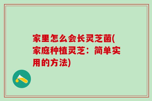 家里怎么会长灵芝菌(家庭种植灵芝：简单实用的方法)